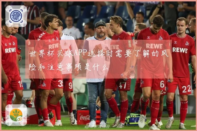 世界杯买球APP选择时需要了解的风险和注意事项是什么