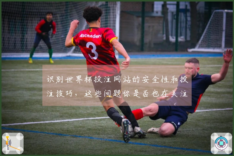 识别世界杯投注网站的安全性和投注技巧，这些问题你是否也在关注？