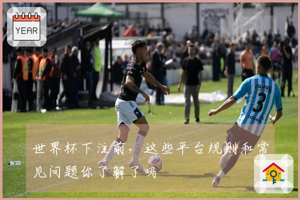世界杯下注前，这些平台规则和常见问题你了解了吗