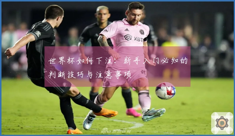 世界杯如何下注：新手入门必知的判断技巧与注意事项