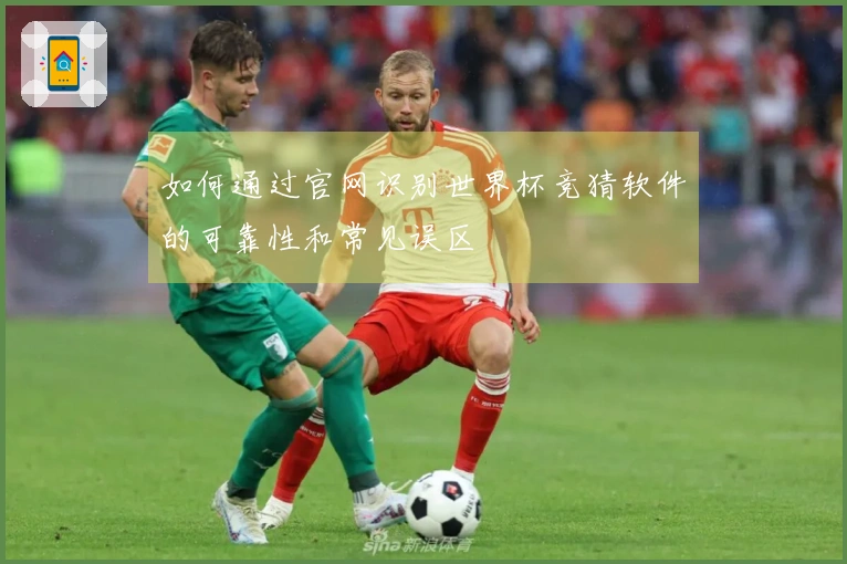 如何通过官网识别世界杯竞猜软件的可靠性和常见误区